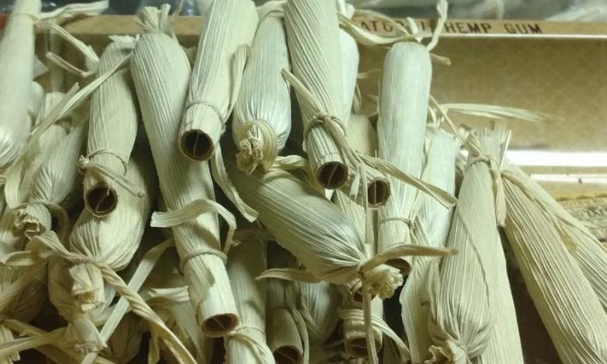 hojas de maíz para fumar marihuana