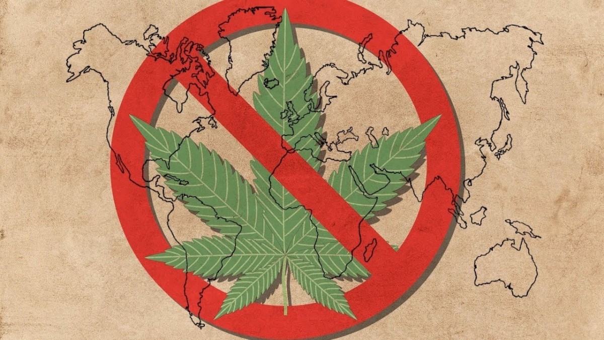 Expansión y prohibición de la marihuana