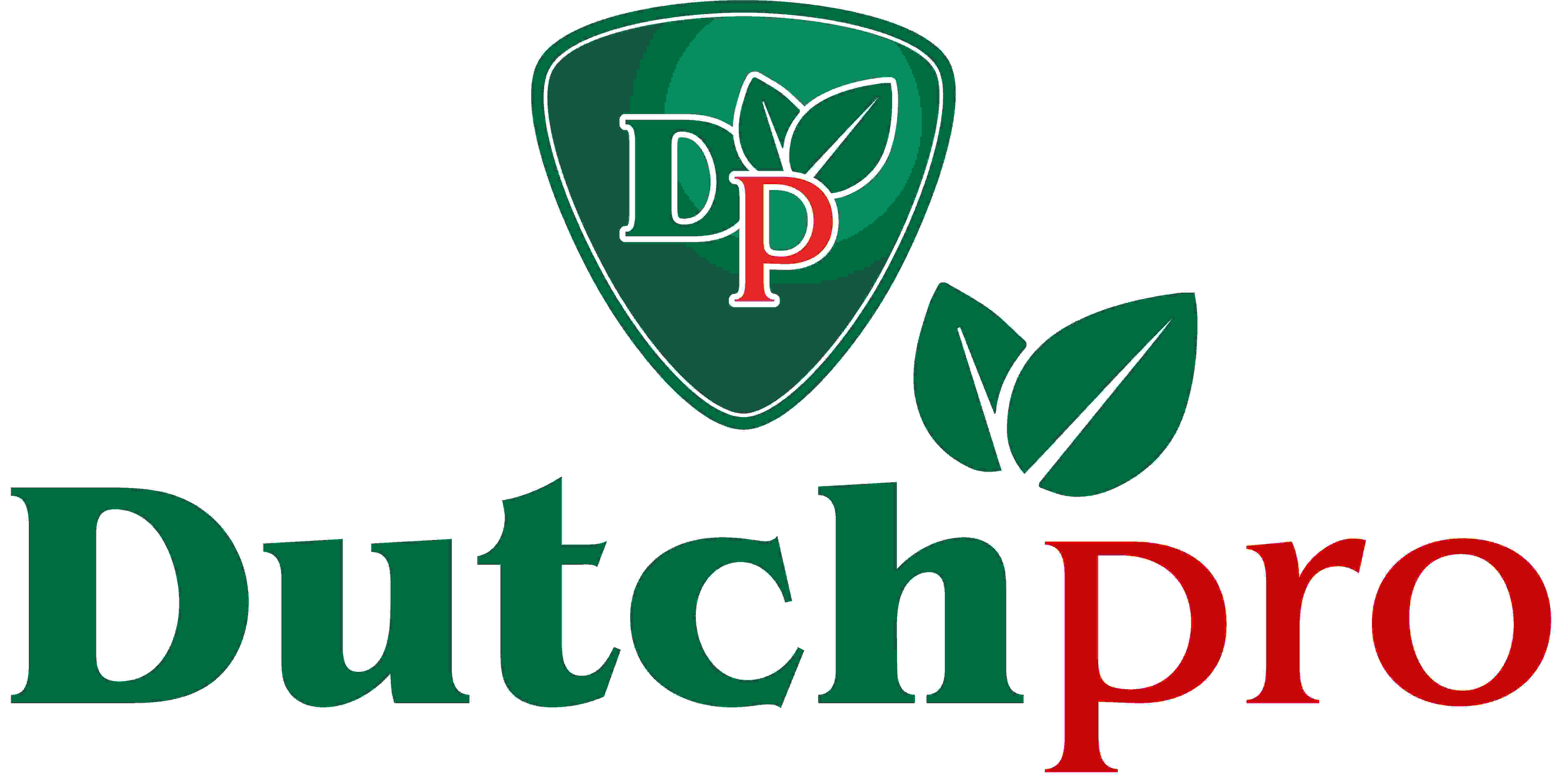 Dutch Pro