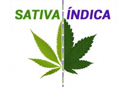Diferencias entre marihuana índica y sativa