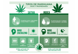 Cómo interpretar las descripciones de las variedades de cannabis